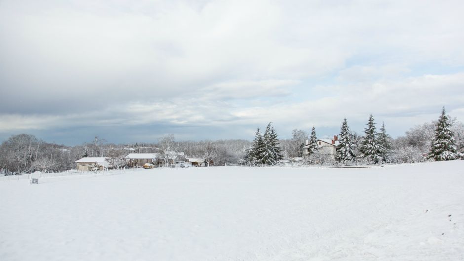 Cropix/Danijela Peracic