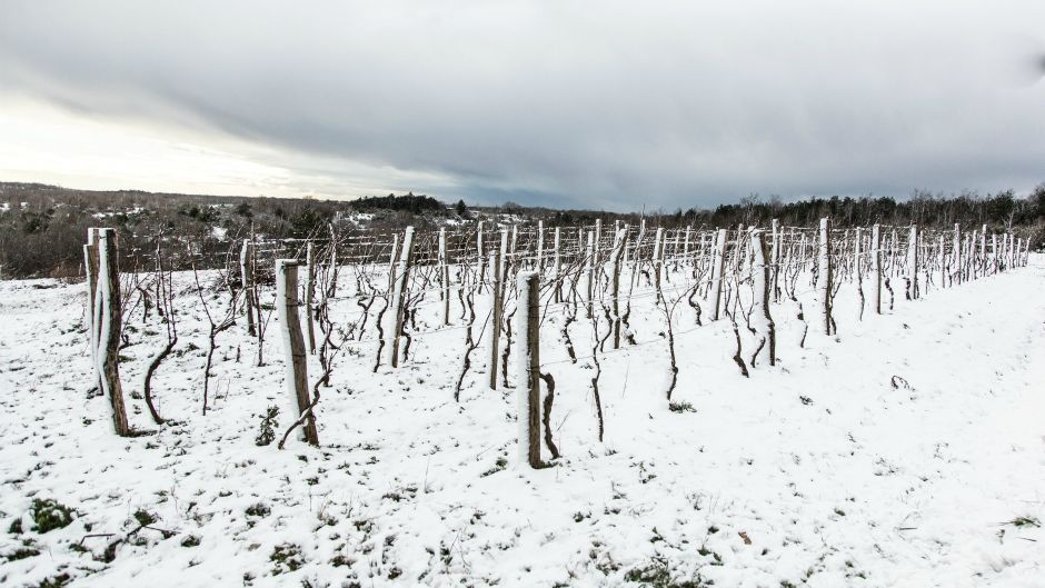 Cropix_Danijela Peracic_(28.12.2014) (2)