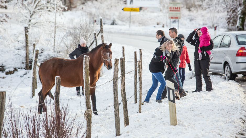Cropix_Danijela Peracic_(28.12.2014) (3)