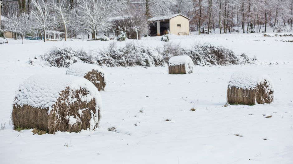 Cropix/Danijela Peracic