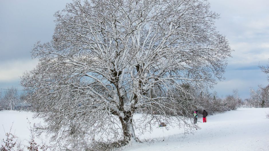 Cropix_Danijela Peracic_(28.12.2014) (5)