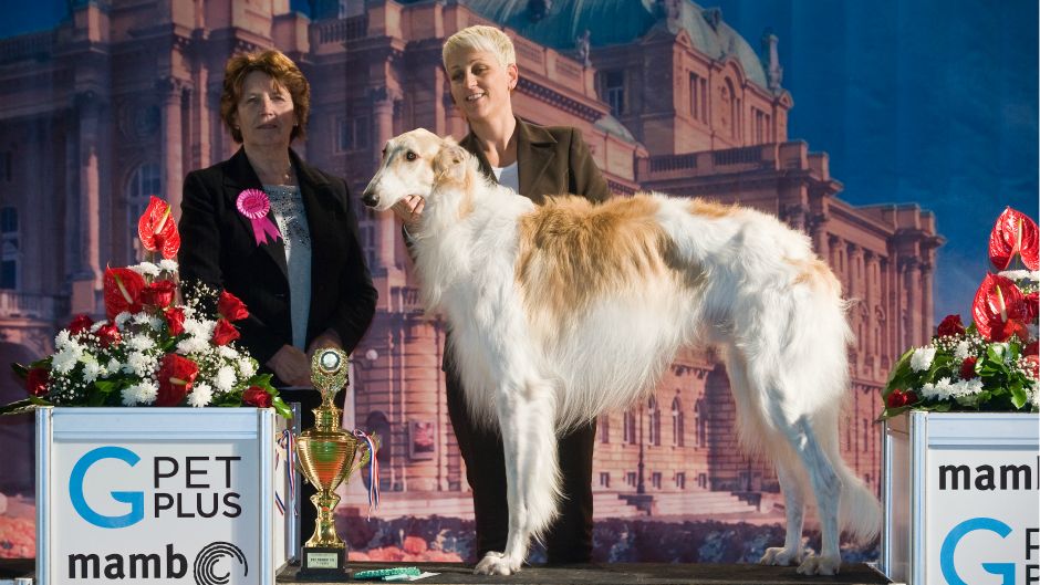 Cropix_Darko Tomas_(23.11.2014) (2)