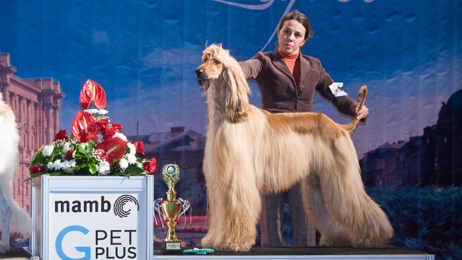 Cropix_Darko Tomas_(23.11.2014) (3)