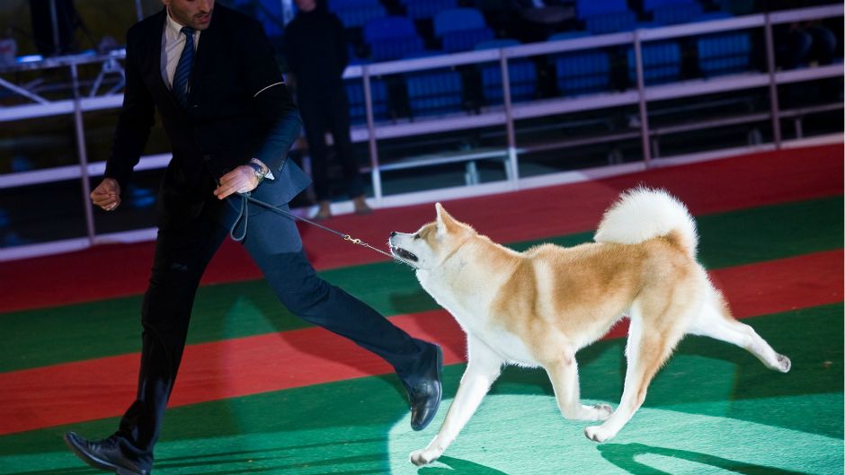 Cropix_Darko Tomas_(23.11.2014) (5)