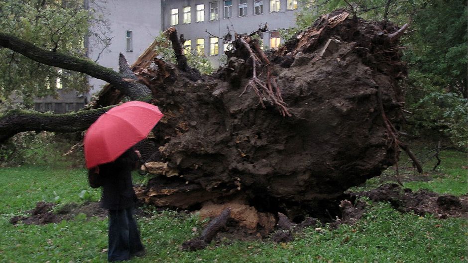 Cropix_Mate Piskor_22.10