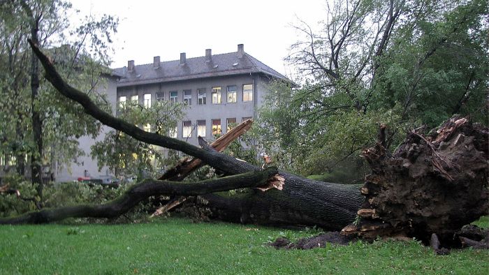 Cropix_Mate Piskor_poster_22.10