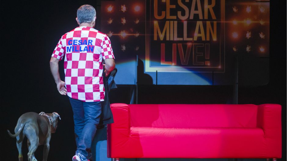 Cropix/Neja Markicevic