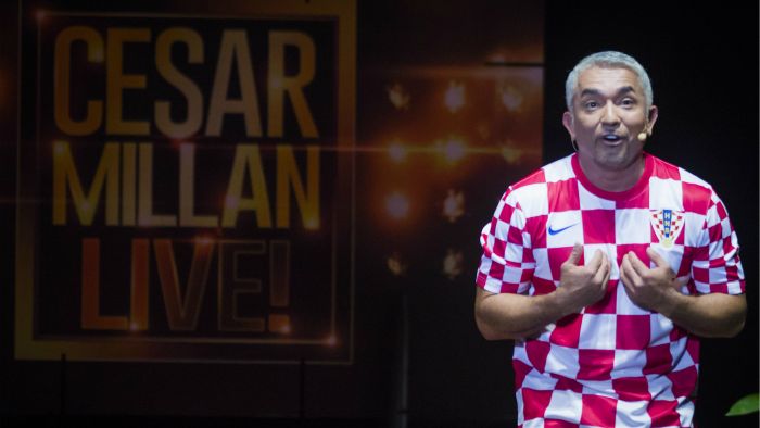 Cropix_Neja Markicevic(1.10