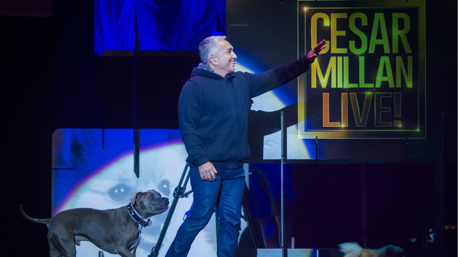 Cropix_Neja Markicevic(1.10