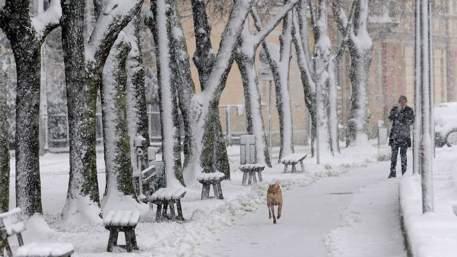 Cropix_Robert Fajt_(28.12.2014)