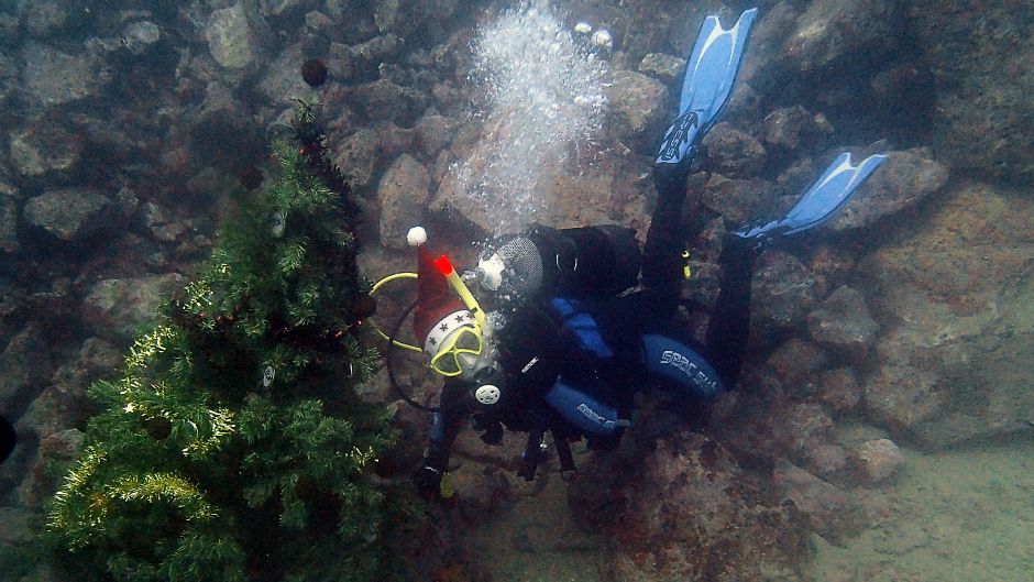 Cropix_Srdjan Vrancic_(21.12.2014)