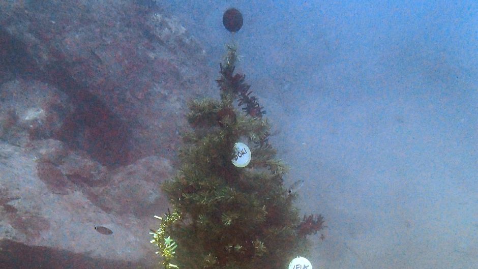 Cropix_SrdjanVrancic_21122014