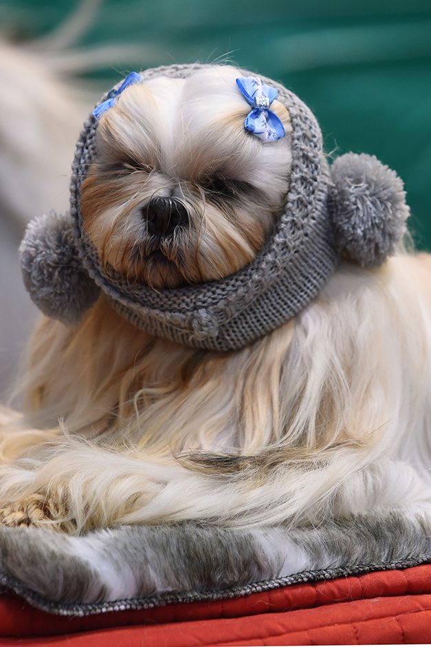 Tanjug/AP/Joe Giddens