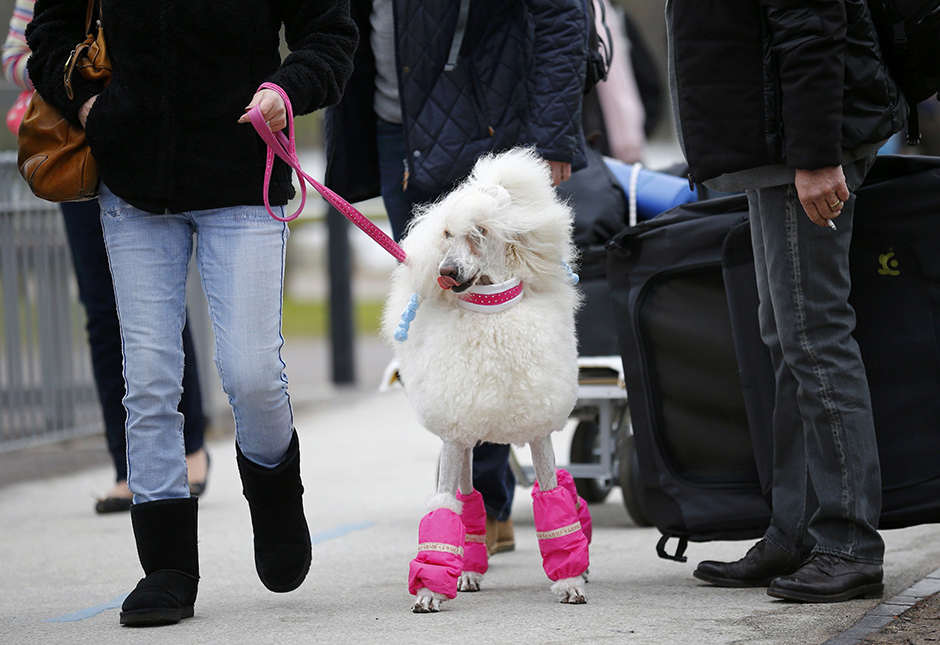 REUTERS/Darren Staples