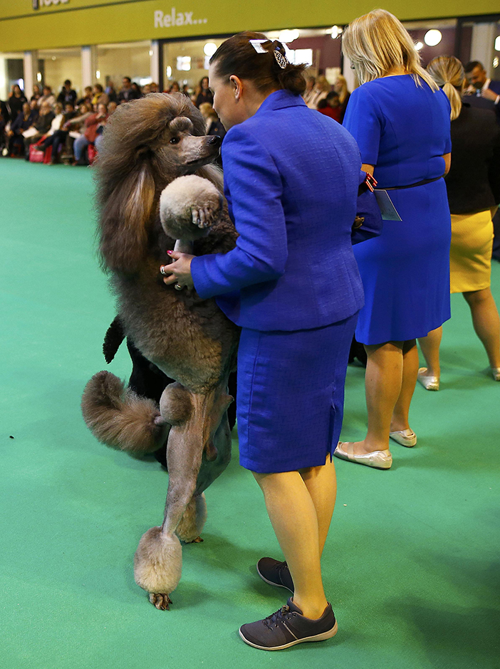 REUTERS/Darren Staples