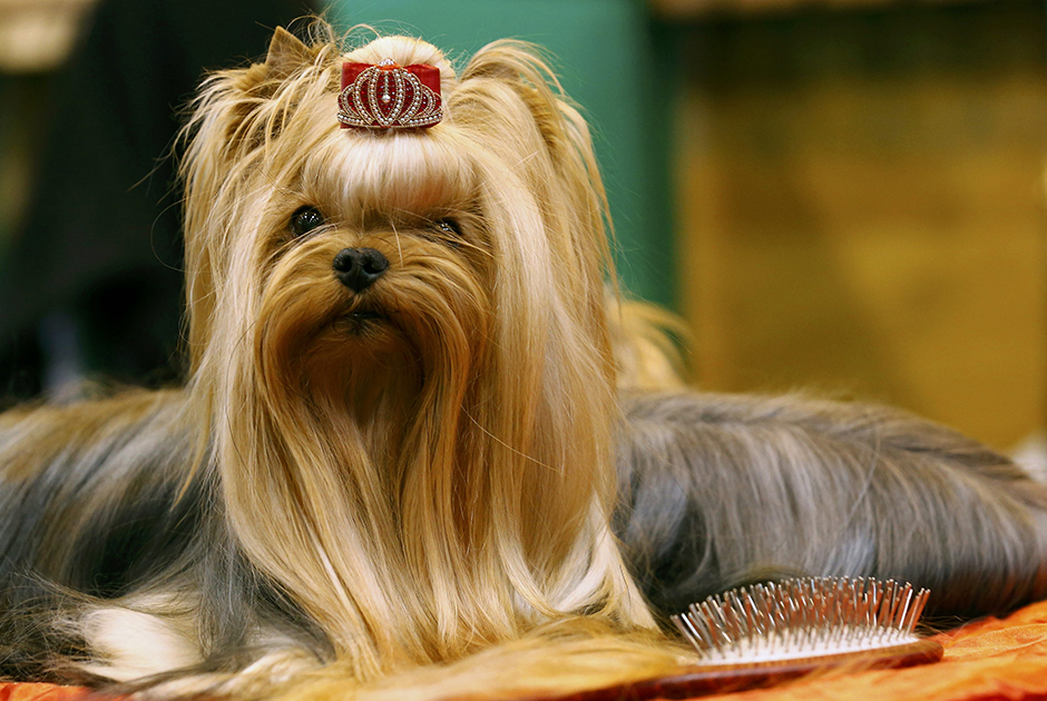 REUTERS/Darren Staples