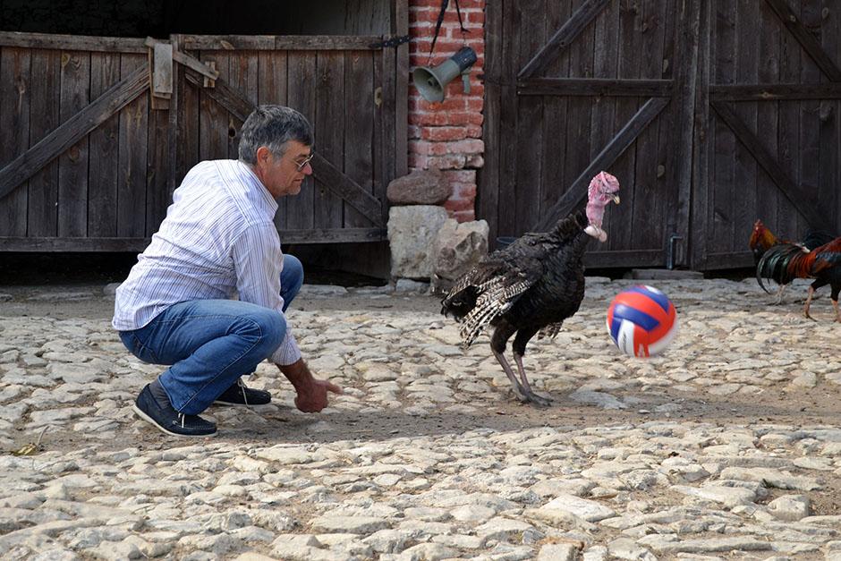 ANADOLIJA/Suat Salgın