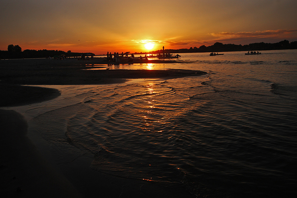 Dan Dunava Foto Tanjug Jaroslav Pap (9)