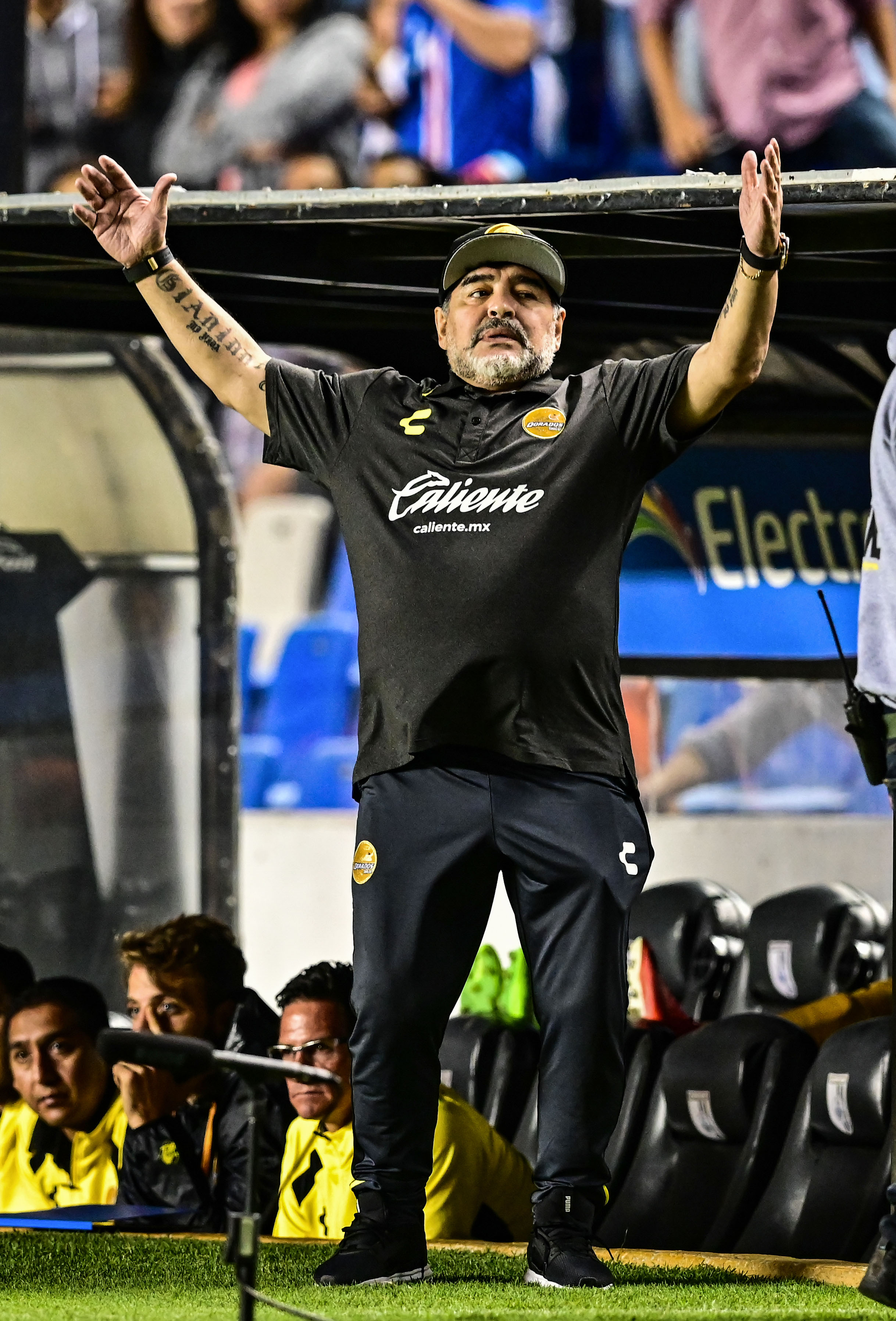 Diego Maradona