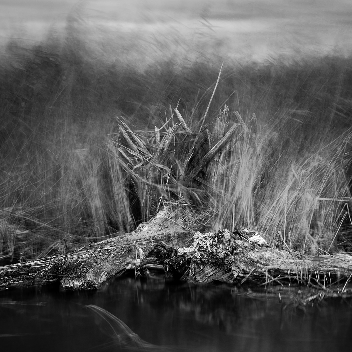 Dino Šimek, Priroda: Jesenski vjetar