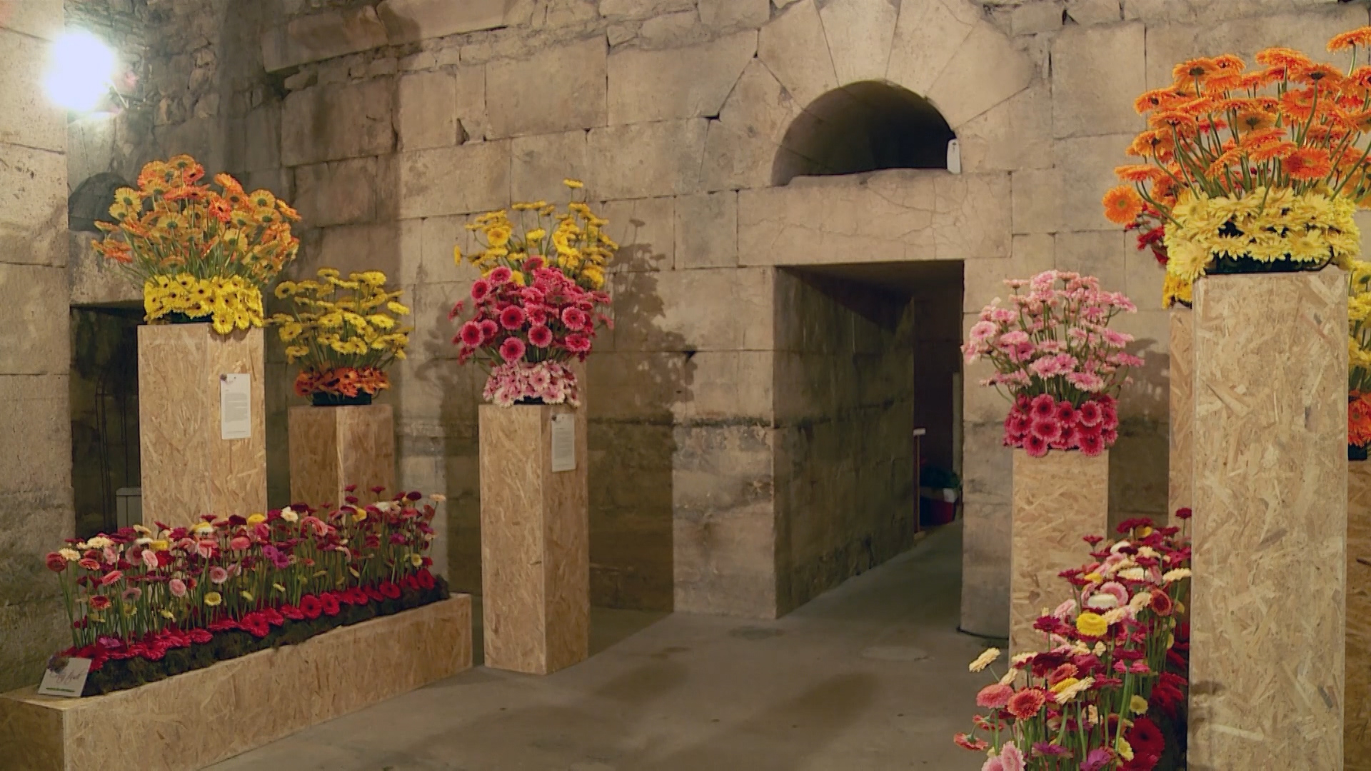 Dioklecijanova palača