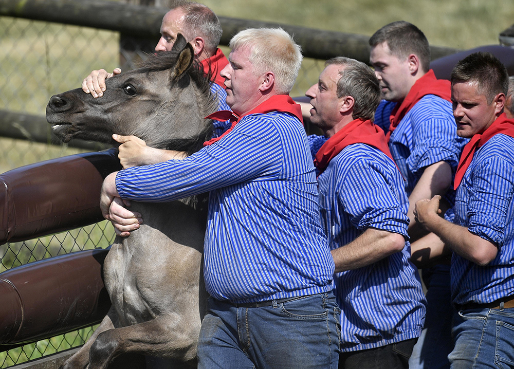 Tanjug/AP/Martin Meissner