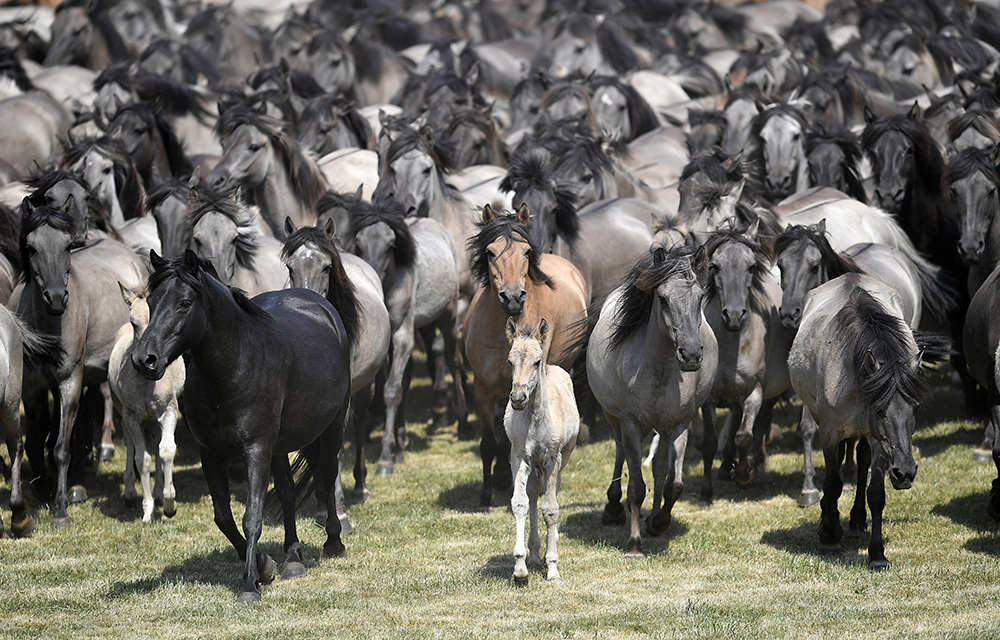 Tanjug/AP/Martin Meissner