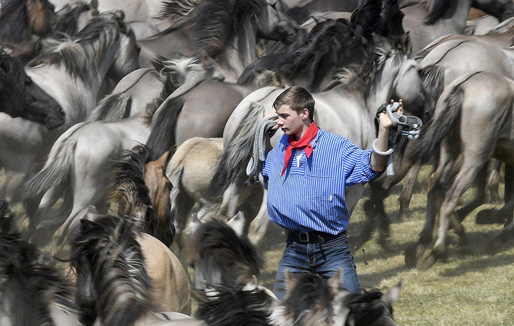 Tanjug/AP/Martin Meissner