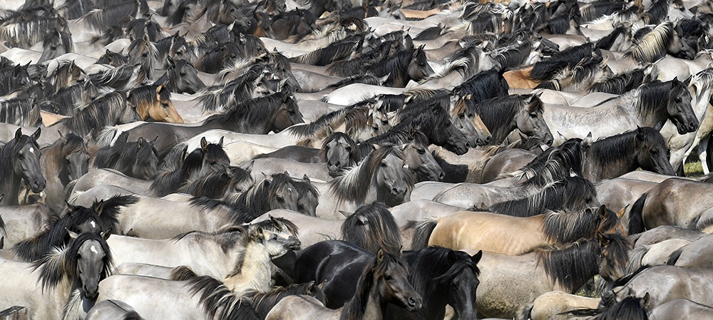 Tanjug/AP/Martin Meissner