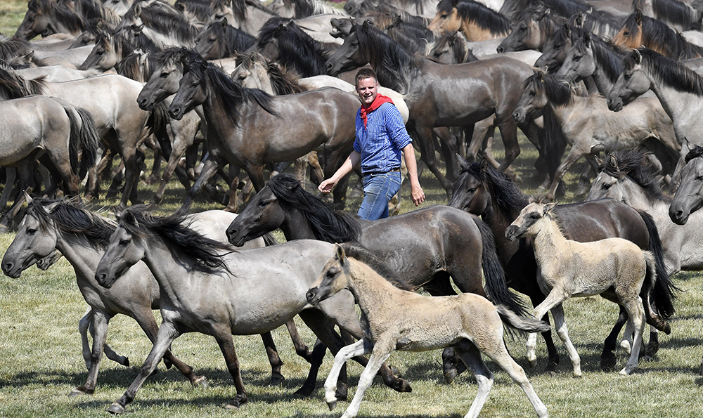 Tanjug/AP/Martin Meissner