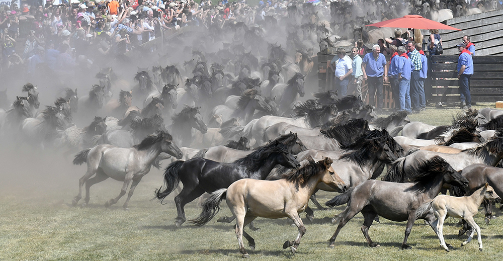 Tanjug/AP/Martin Meissner