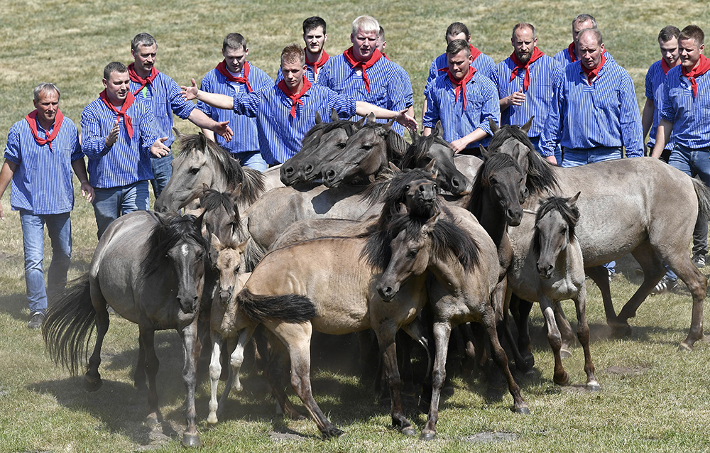 Tanjug/AP/Martin Meissner