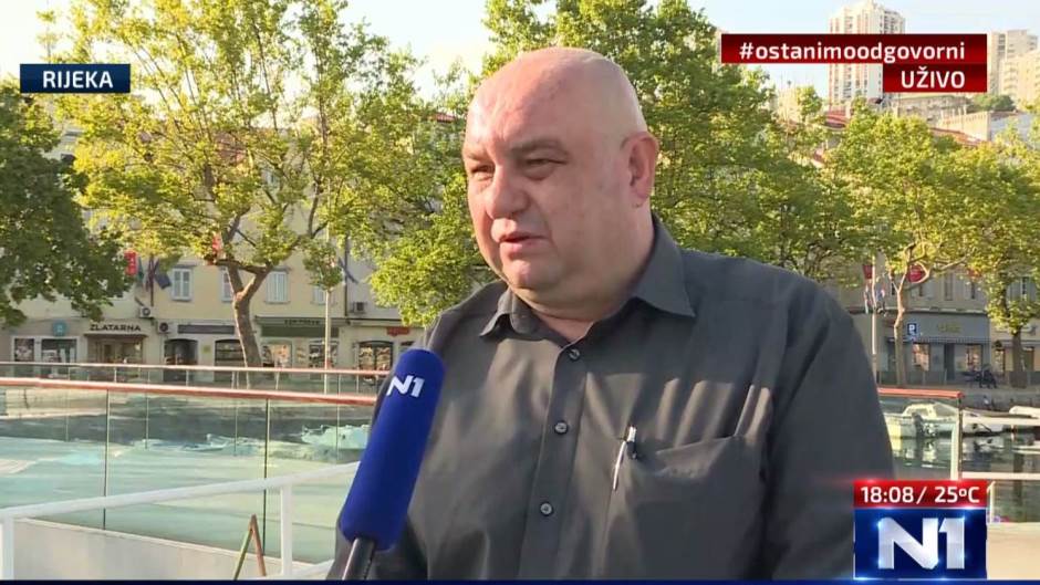 Dobrica Rončević 2