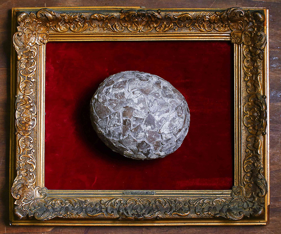 REUTERS/Tony Gentile