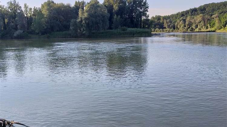 drava