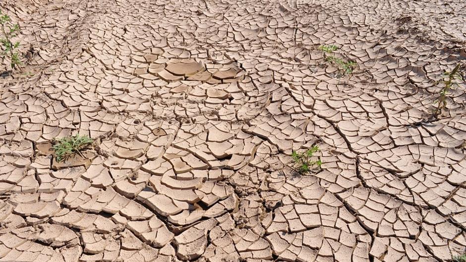 drought-19478_960_720