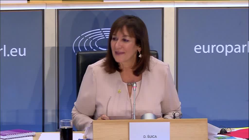 Dubravka Šuica dobila zeleno svjetlo Odbora za ustavna pitanja EP