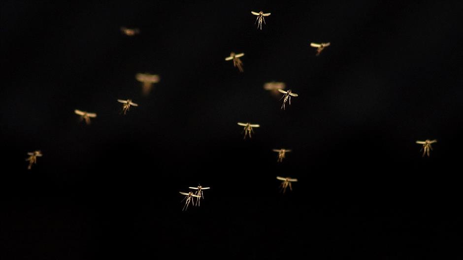 elves-dance-2874211_1920