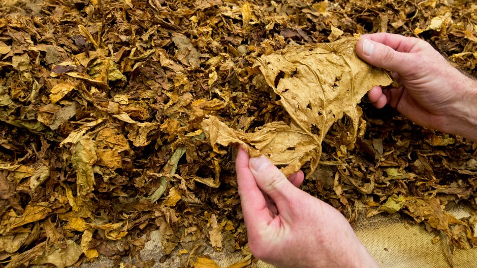 EPA/Julian Stratenschulte 