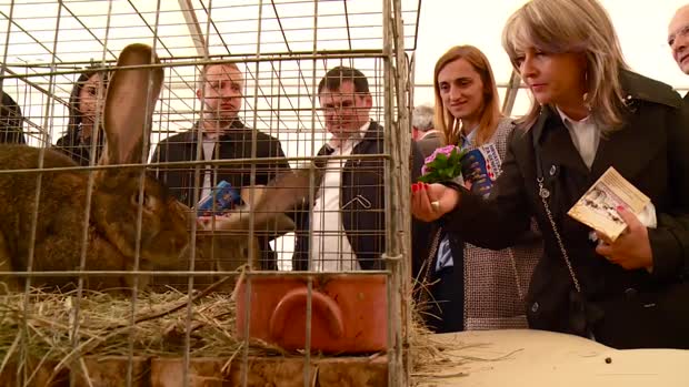 EU kampanja u punom jeku