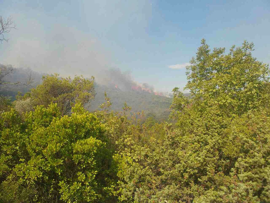 Služba zaštite Tivat