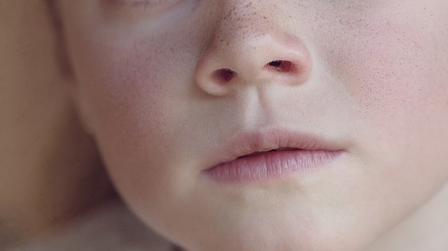 face-1381321_960_720