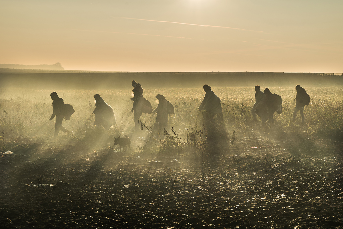 Fadil Šarki – Izbeglice u slavonskim njivama - Vijesti i događaji