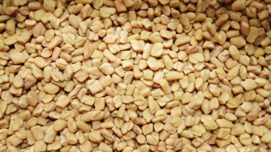 fenugreek-1049596_1920