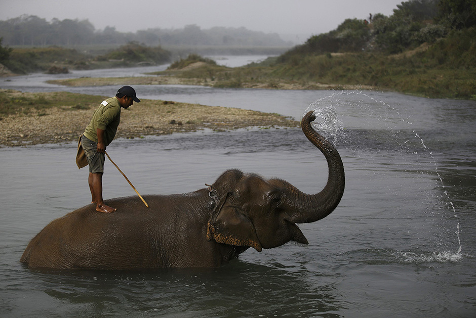 REUTERS/Navesh Chitrakar