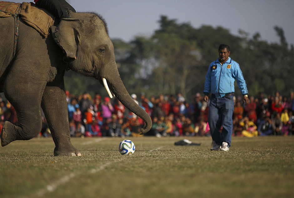 REUTERS/Navesh Chitrakar