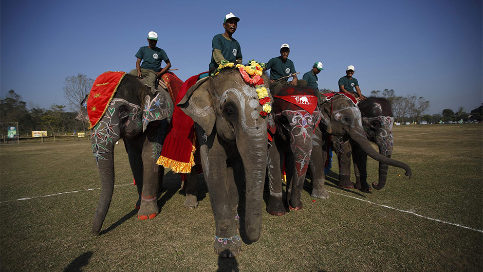 festival slonova (15)