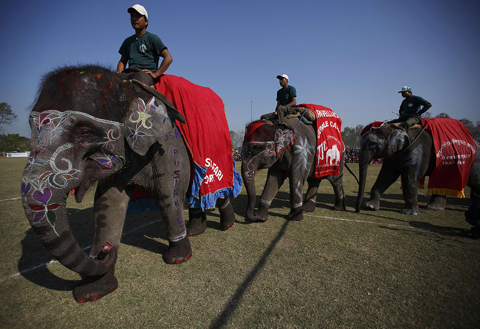 festival slonova (16)