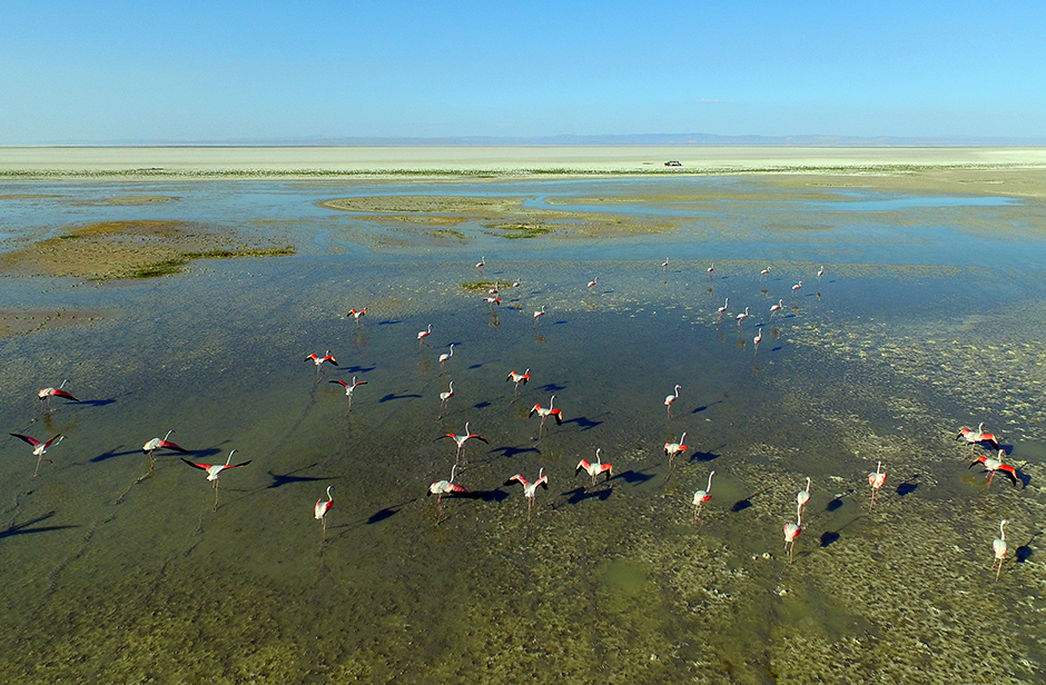 ANADOLIJA/Murat Öner TAŞ