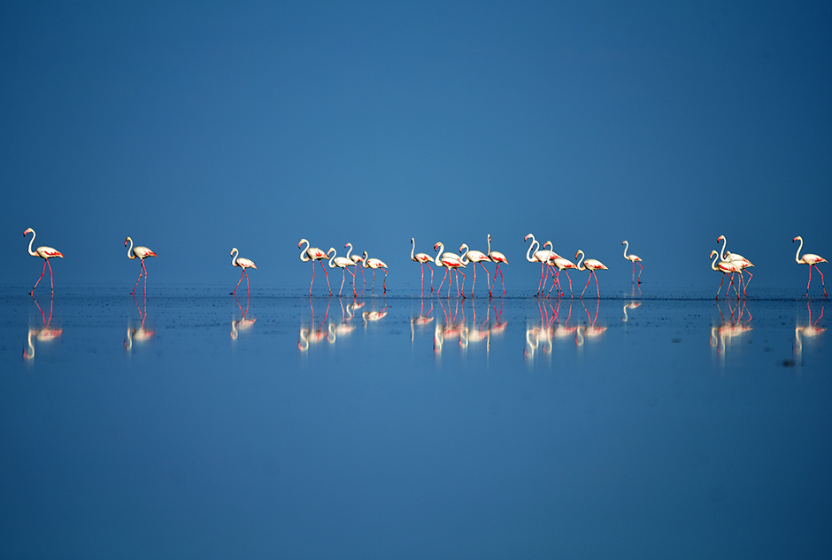 ANADOLIJA/Murat Öner TAŞ